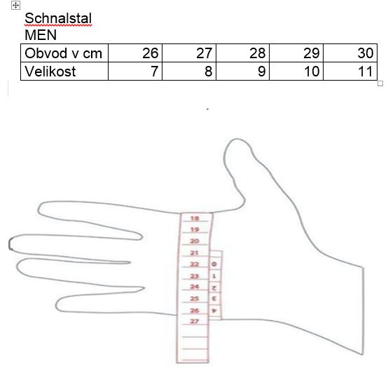 Schnalstal ski gloves, black